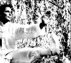 Tai Chi Master 1992